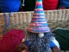 bluegnome2