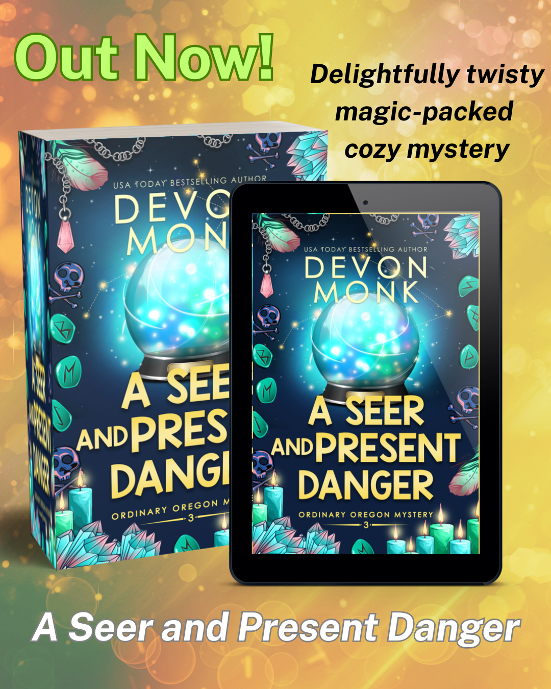 cover of A Seer and Present Danger